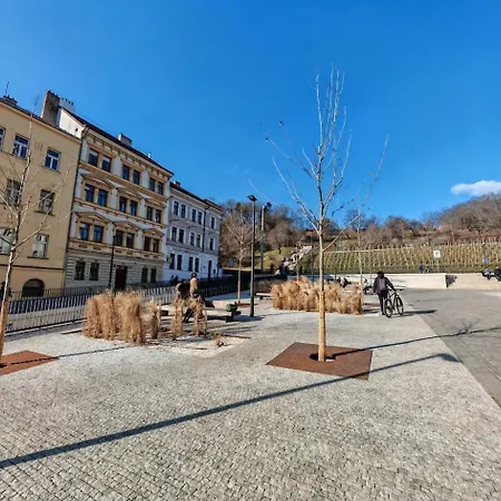 Flat In Zizkov -101- Apartament