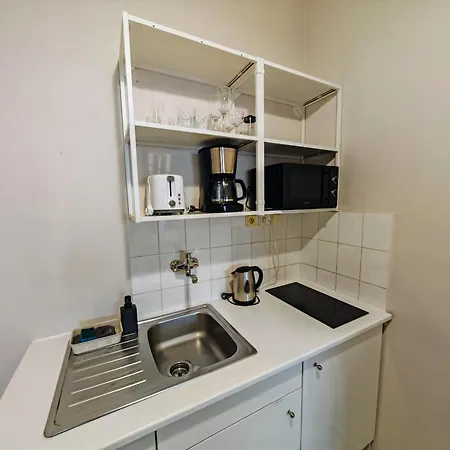 Flat In Zizkov -101- * Praga