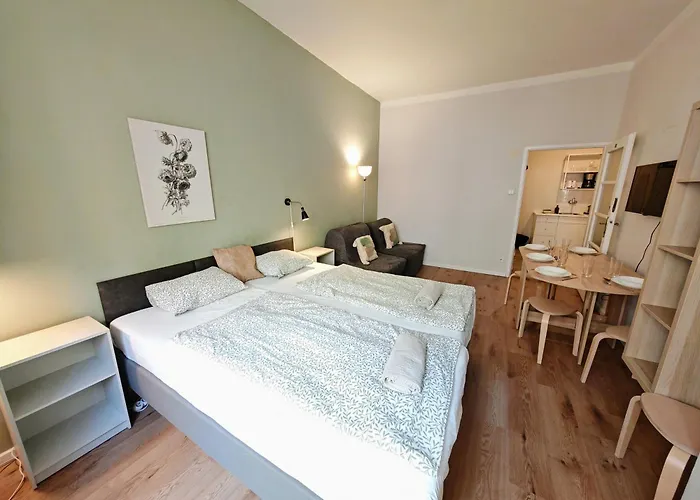 Flat In Zizkov -101- * Πράγα