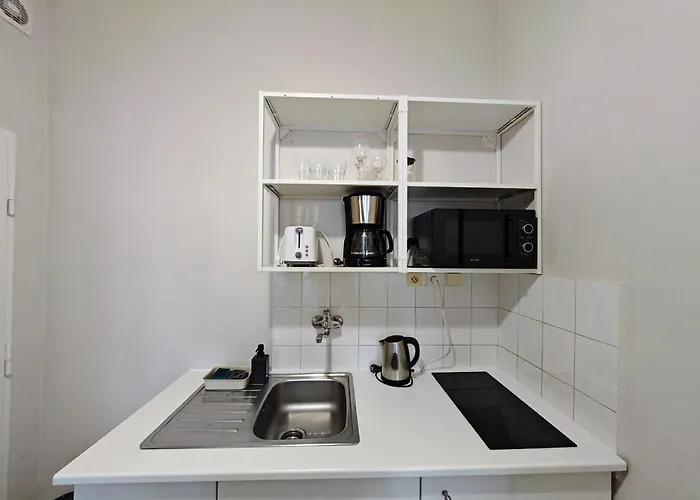 Flat In Zizkov -101-