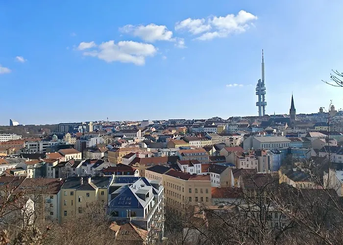 Flat In Zizkov -101- Prag