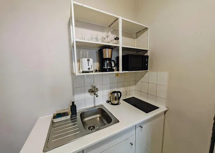 Flat In Zizkov -101- * Prague